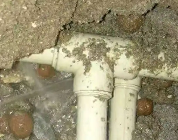 若尔盖测漏水多少钱